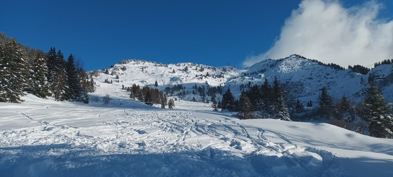 Le Collet d'Allevard - Ski Resort